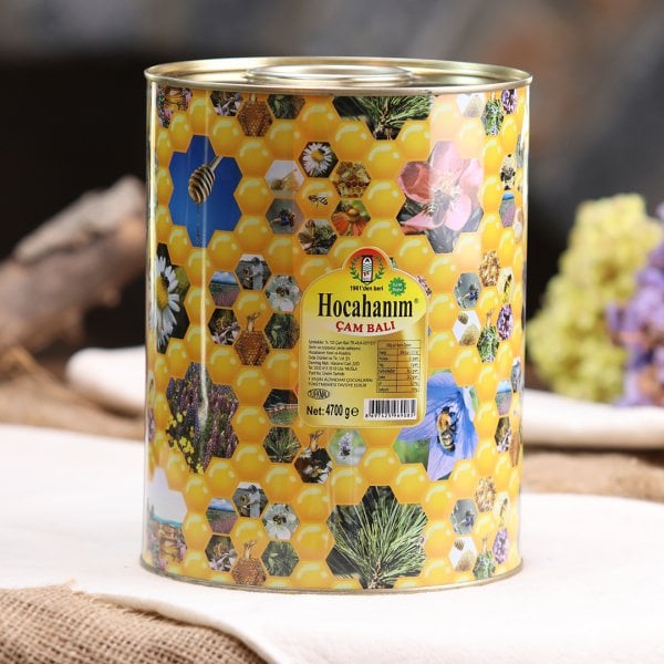 HOCAHANIM GIDA Çam Balı Teneke 5 kg