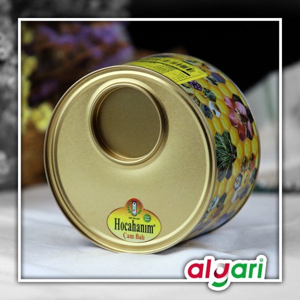 HOCAHANIM GIDA Çam Balı Teneke 2 kg