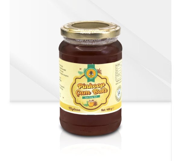 PİNKOOP Çam Balı 460 GR