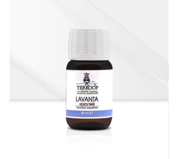 YER KOOP Lavanta Yağı 20 ml